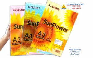 giấy bìa màu A3 Sunflower subaru