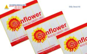 giấy decal flower kokuyo giá rẻ
