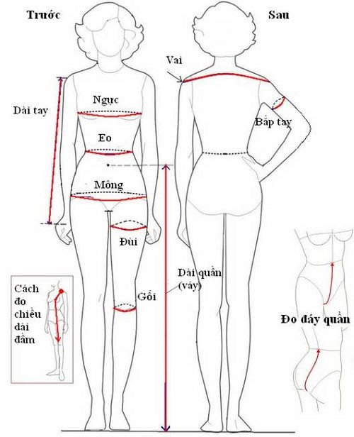 Cách đo may quần đùi, quần short nữ 